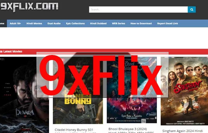 9xflix com Is Legal